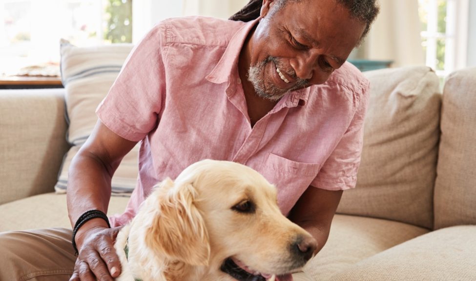 man sitting on a sofa petting a Labrador retriever dog