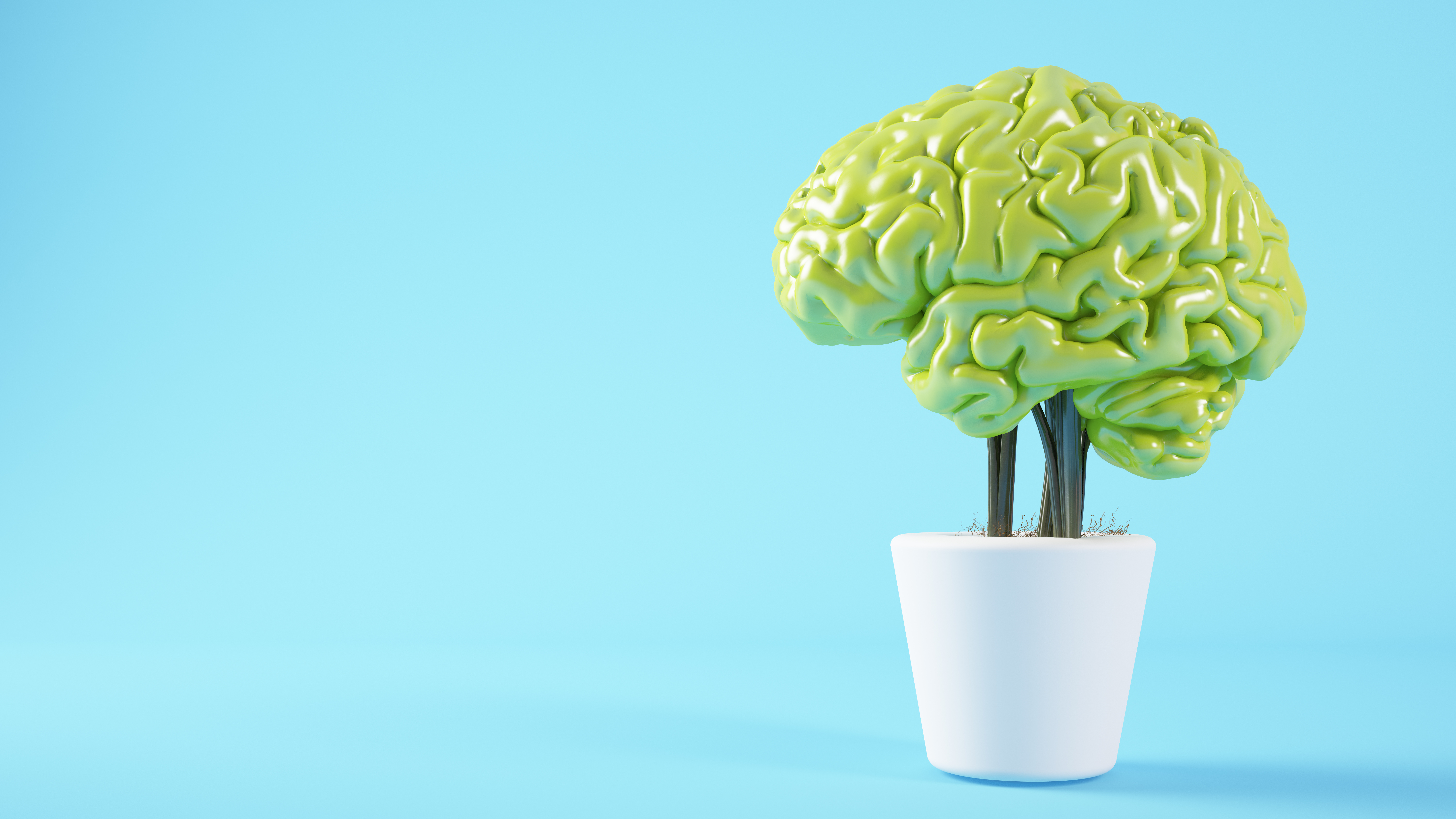 Green brain plant on blue background 3d rendering